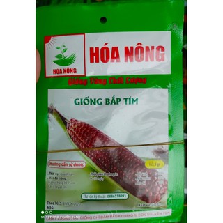 Hạt giống ngô tím, bắp tím 5gr