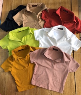 Áo thun cổ bẻ croptop chất đẹp
