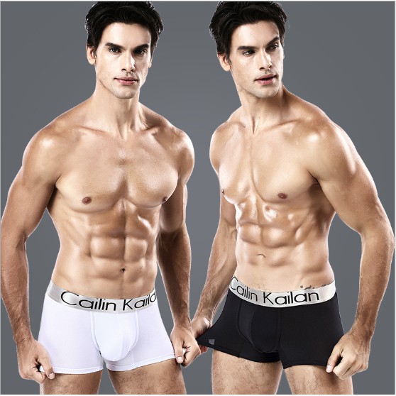 Quần Lót Boxer Nam Thoáng Khí - Sịp Đùi Nam Cao Cấp (Trơn 04)