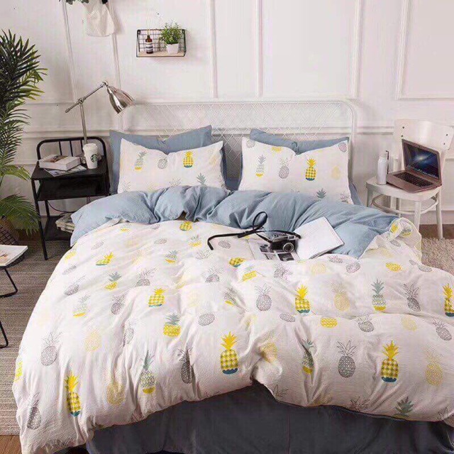 Bộ drap cotton đũi chần bông