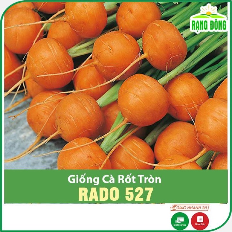 Hạt Giống Cà Rốt Tròn 527