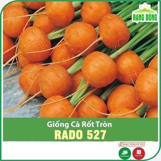 Hạt Giống Cà Rốt Tròn 527