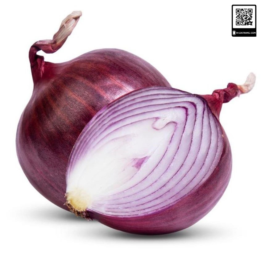 Hạt giống hành tây đỏ SALAD RED 027