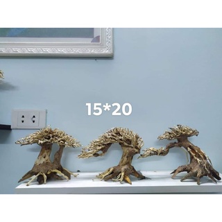 Lũa bonsai mini kích thước 12x15 và 15x20 cho hồ thuỷ sinh