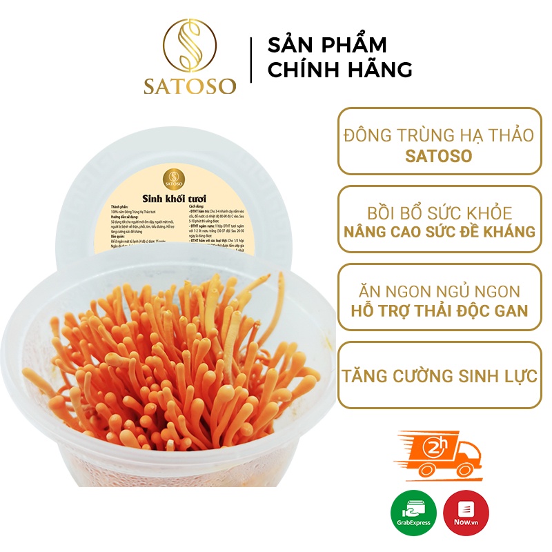 Đông trùng hạ thảo SATOSO hộp 01 đế sinh khối tươi SA011