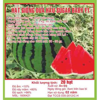 Hạt giống quả dưa hấu