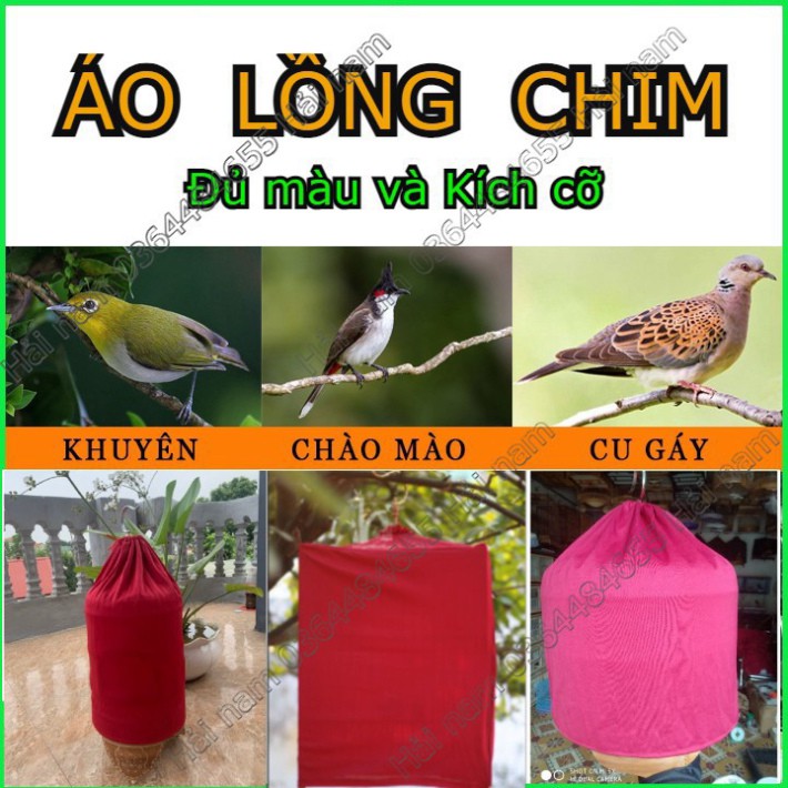 Áo lồng chim Chào mào - Khuyên - Cu gáy - Áo chùm lồng chim đa dạng mẫu mã và màu sắc