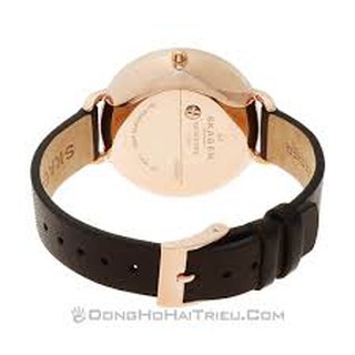 Đồng hồ nam Skagen SKW2356