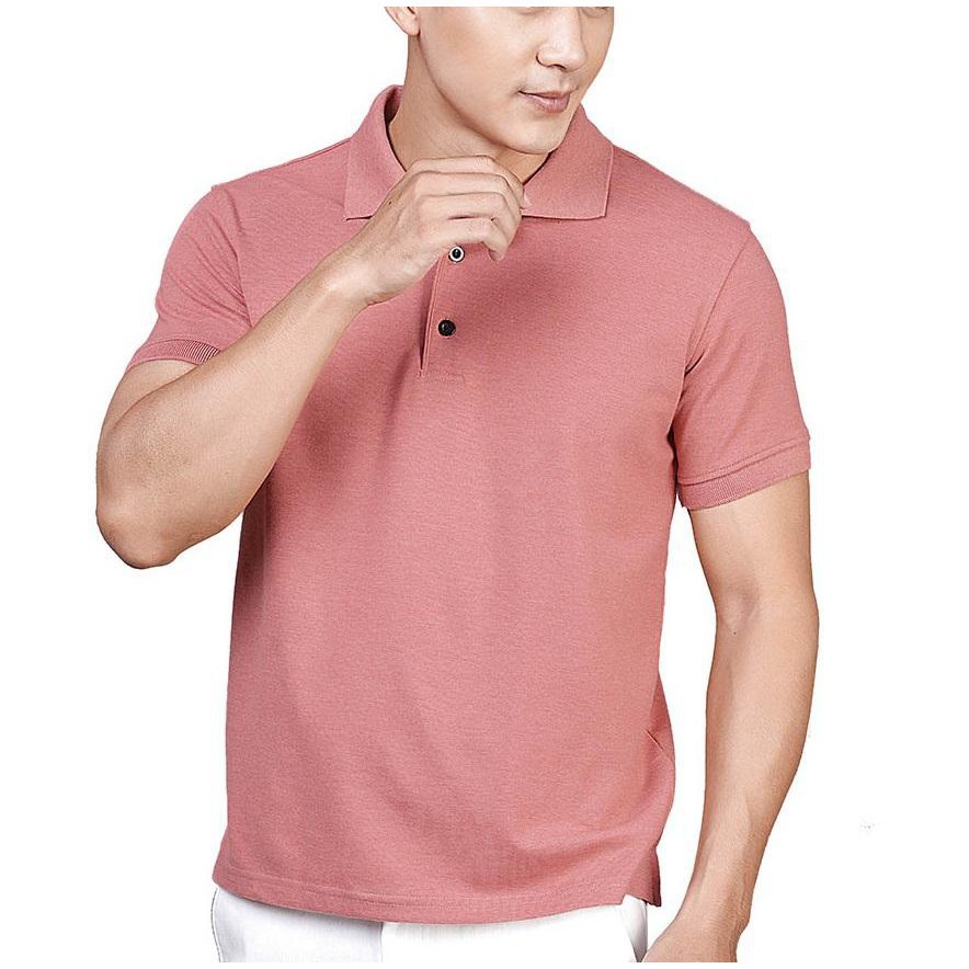 Áo Phông Cộc tay nam cổ bẻ,Áo Thun cộc tay chất cotton 8 mầu, dáng phù hợp với nhiều lứa tuổi | BigBuy360 - bigbuy360.vn