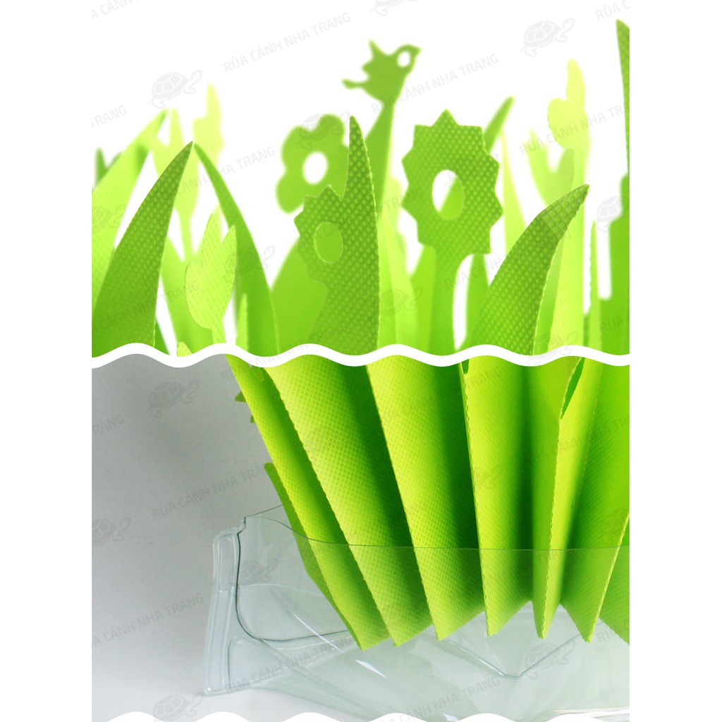 CỎ TẠO ĐỘ ẨM CHO BÒ SÁT, TẠO MÁT MẺ CHO THÚ CƯNG BÒ SÁT