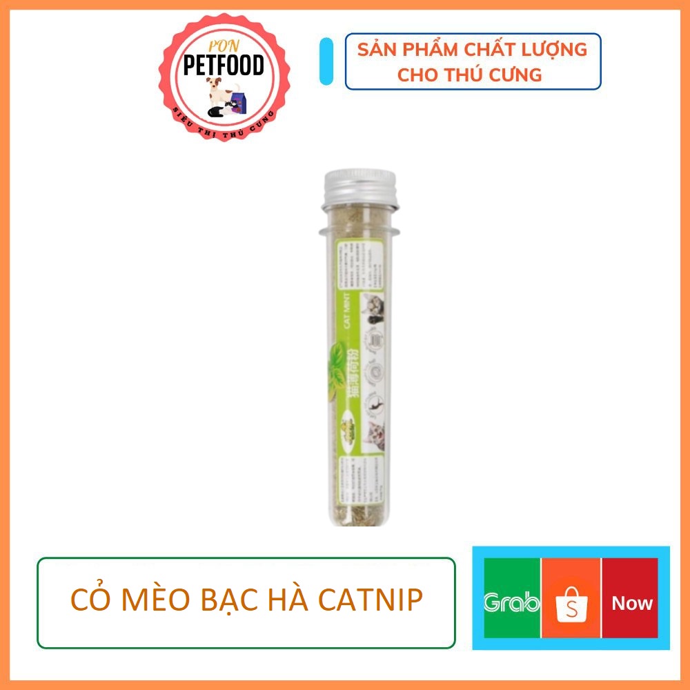 CỎ MÈO BẠC HÀ CATNIP