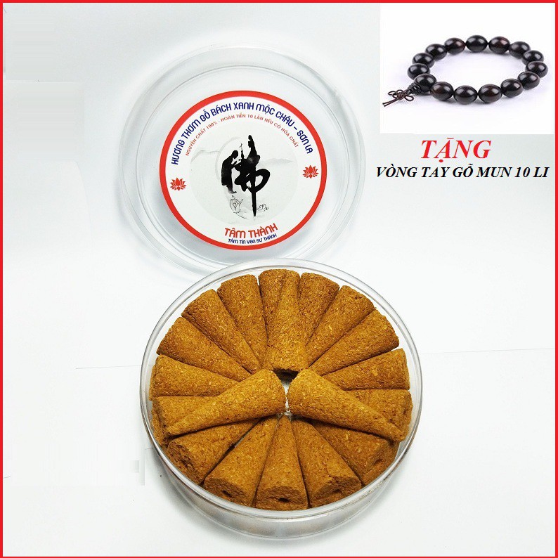 Nhang Nụ Bách_xanh Mộc Châu, Sơn La (Hộp 35 Nụ HÀNG TUYỂN CHỌN Đậm tinh dầu - Cực thơm, Không hóa chất) - Xông_trầm
