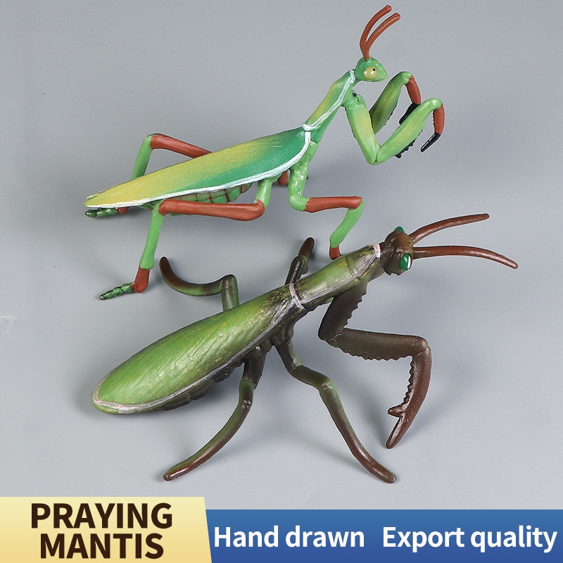 Mô Hình Côn Trùng Trang Trí Đa Ứng Dụng