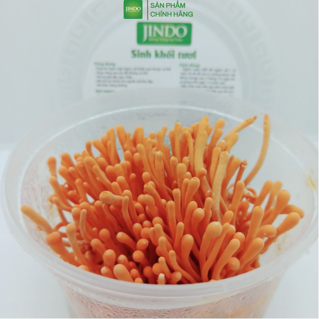 Đông trùng hạ thảo tươi thượng hạng JINDO- Được nuôi cấy tại Đà Lạt thumbnail