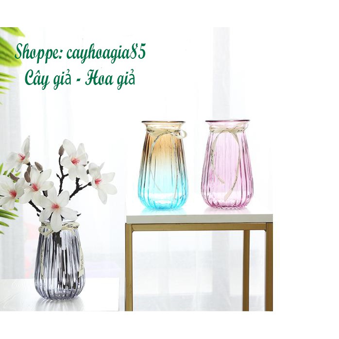 Bình Thủy Tinh_ Bình Thắt Nơ Bông Mai