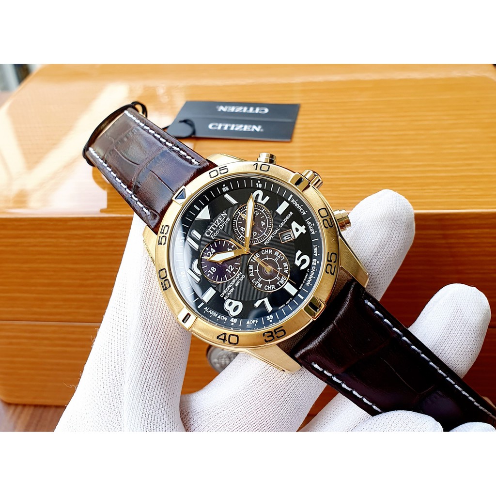 Đồng hồ nam Citizen Eco-Drive Perpetual Calendar Chronograph Alarm 100M BL5472-01E Men's Watch