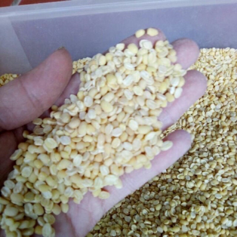 Đậu xanh tách vỏ nhà làm gói 0.5kg,1kg