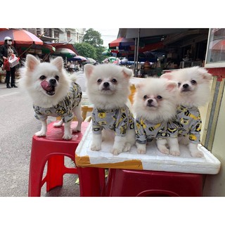 Áo Nỉ Hoạt hình 19k