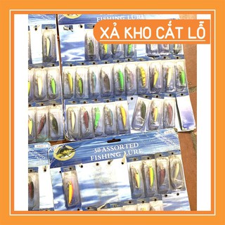 Mồi Câu Lure Mồi Câu Cá 2 Lưỡi 3 tiêu
