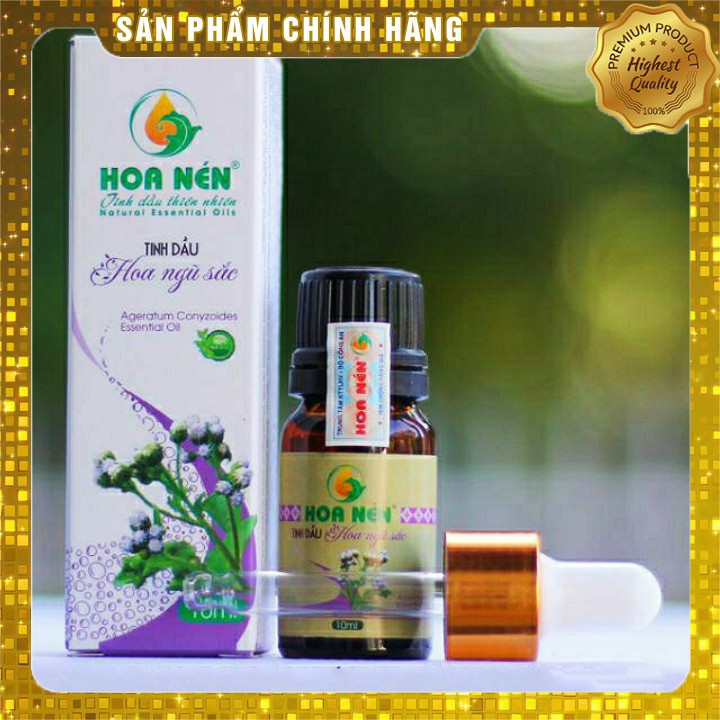 Tinh dầu hoa ngũ sắc Hoa Nén 10ml_Hổ trợ người bị viêm xoang, viêm mũi dị ứng