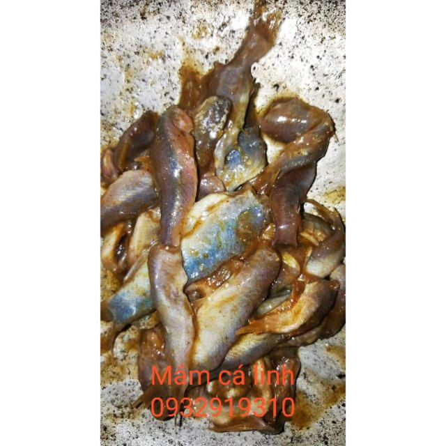 Mắm cá linh
