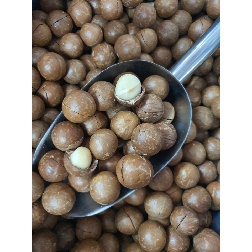 NHÂN HẠT MACCA  VỠ NHẬP KHẨU TỪ ÚC, HẠT MẮC CA TO, TRÒN, ĐỀU