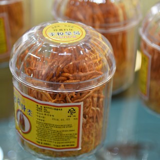 Bông đông trùng hạ thảo