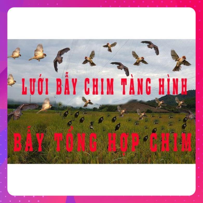Lưới bẫy chim tàng hình dài 40M cao 5M.