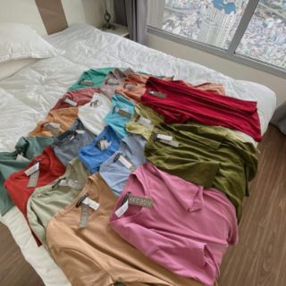 Combo 10 áo thun AGE2X - Leoshop1008
