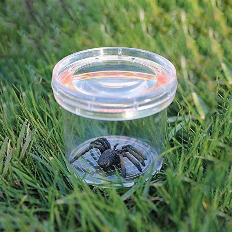 Đồ Chơi Kính Lúp Quan Sát Côn Trùng Ngoài Trời Dành Cho Trẻ Em