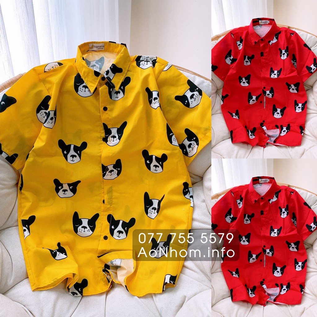 Áo sơ mi hoạt hình ★ Mèo Super Cat, Chó Bull Pháp | BigBuy360 - bigbuy360.vn