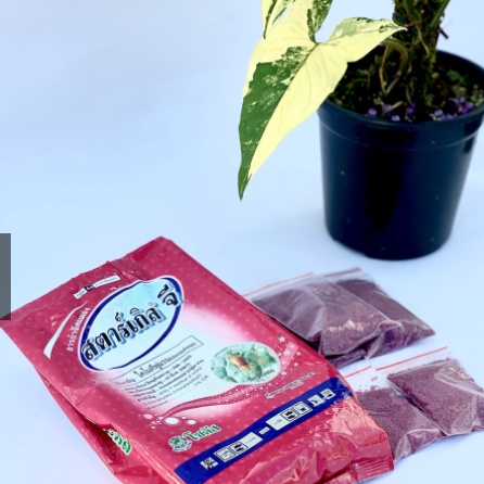 Gói 50g thuốc tím trừ rệp chuyên dùng cho sen đá, cây kiểng, hàng nhập Thái