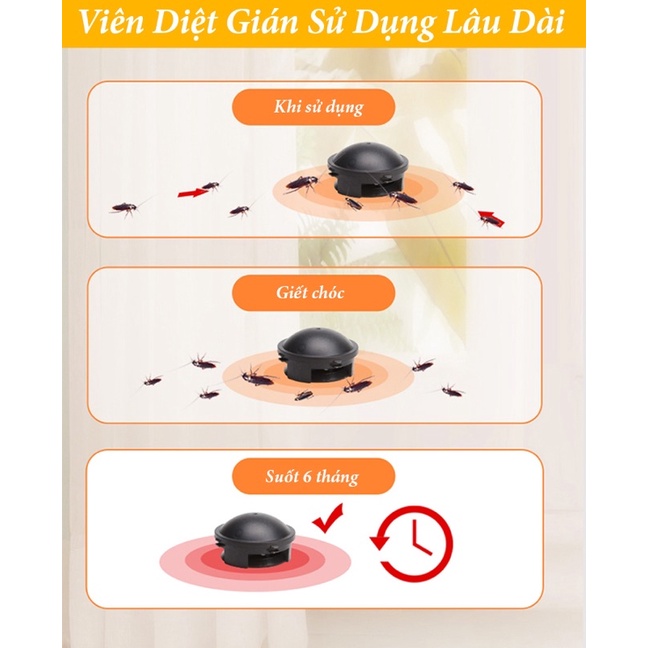 Viên Diệt Gián Nhật Bản Thiết Kế Thông Minh, Diệt Gián Tận Gốc An Toàn Hiệu Quả Cao