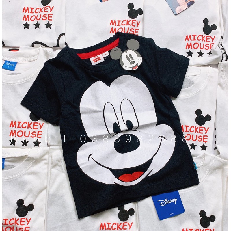 Áo cotton Disney - RABBITSHOP