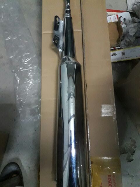 Pô apha .zx rin hãng.