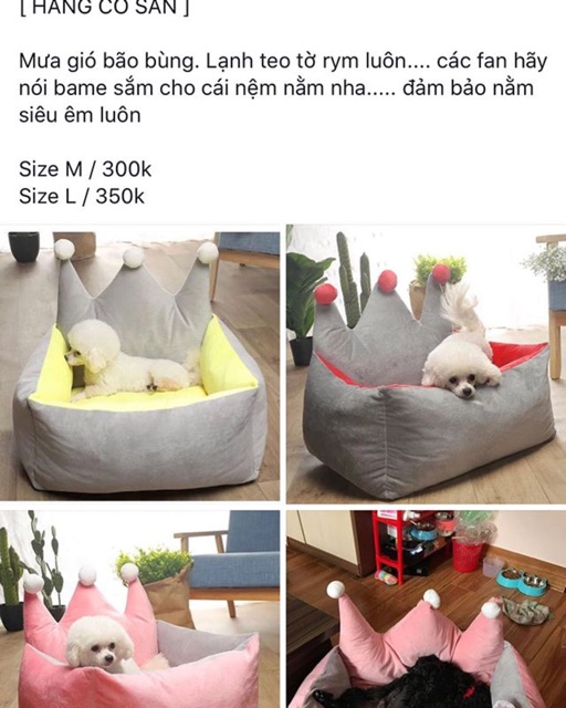 Nệm cho chó mèo