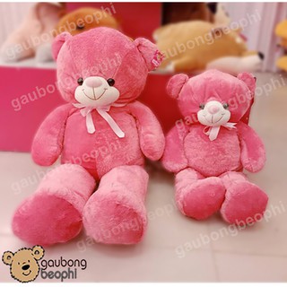 GẤU TEDDY LÔNG CHỈ HỒNG – TEDDY KHỔ 80CM