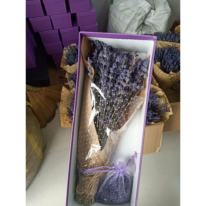 Hộp quà tặng hoa oải hương lavender khô xinh xắn