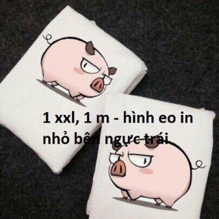 Combo 9 áo thun teen