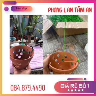 Que Nẹp Chậu Giữ Lan, Kẹp chậu (Dài 28-30cm )