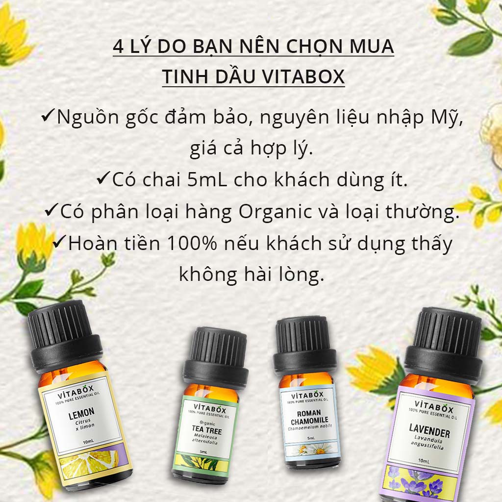 Vitabox - Tinh Dầu Hoa Ngọc Lan Tây (Ylang Ylang) - 100% Thiên Nhiên Nguyên Chất - Natural Essential Oil