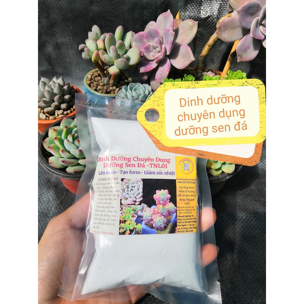 Combo 4 sản phẩm chuyên dụng cho sen đá _ xương rồng TNL