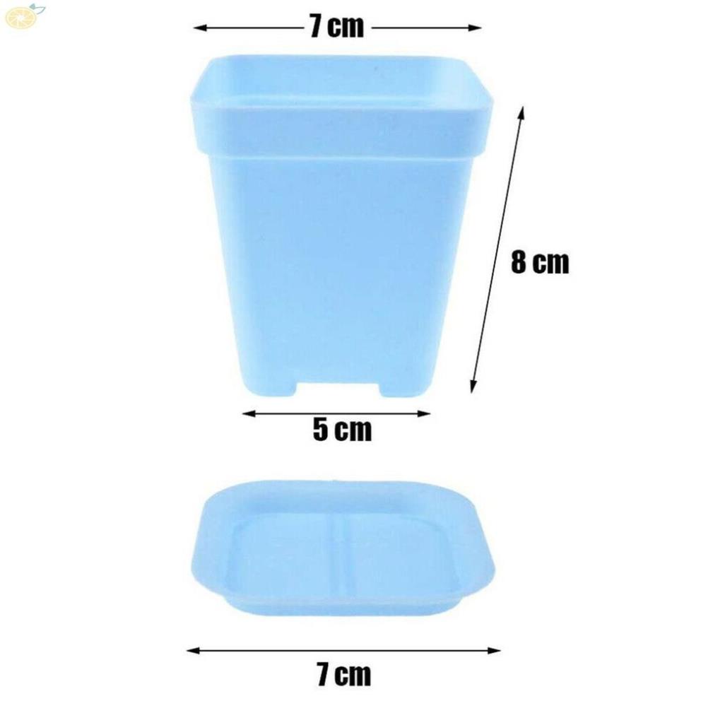 chậu nhựa trồng sen đá cây mini cây nhỏ đường kính chậu 7*7cm 6 màu sắc đẹp mắt