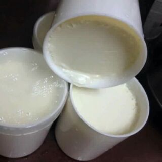 Máy ủ sữa chua DeKa