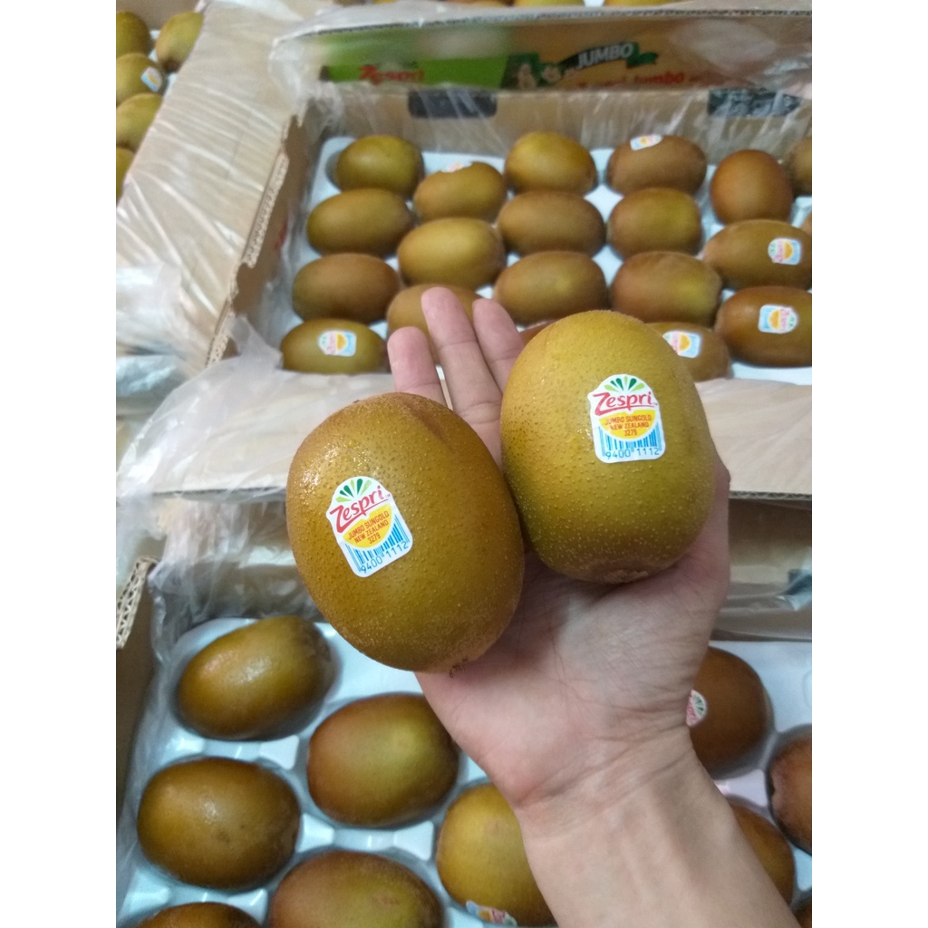 Kiwi vàng New Zealand