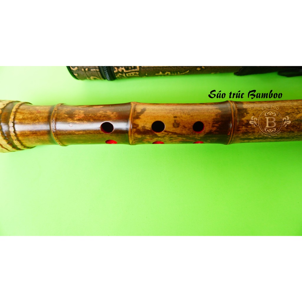 Động tiêu gốc trúc tím sơn lòng TT2000
