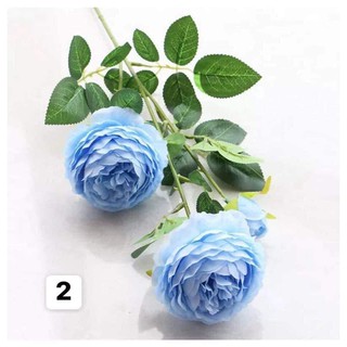 BÓ HOA HỒNG 10 CÀNH