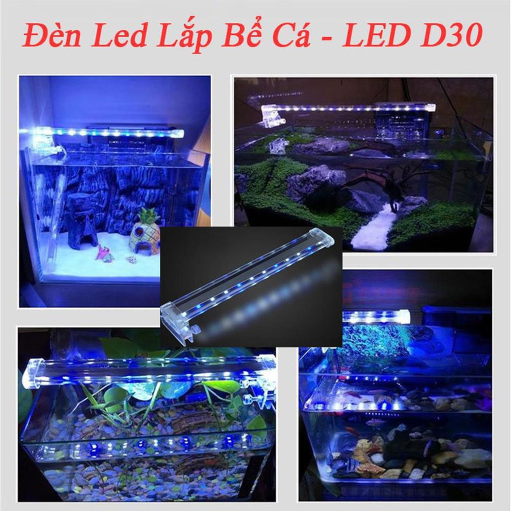 ✔️ bóng đèn led,Đèn led lắp cho bể cá LED D30 [MUA BAO NHIÊU TẶNG BẤY NHIÊU]