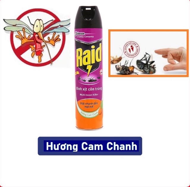 Bình xịt côn trùng Raid 600ml