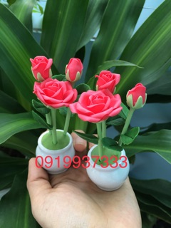 Chậu hoa đất sét cao 13 cm nhiều mẫu( 1 cặp 2 chậu )
